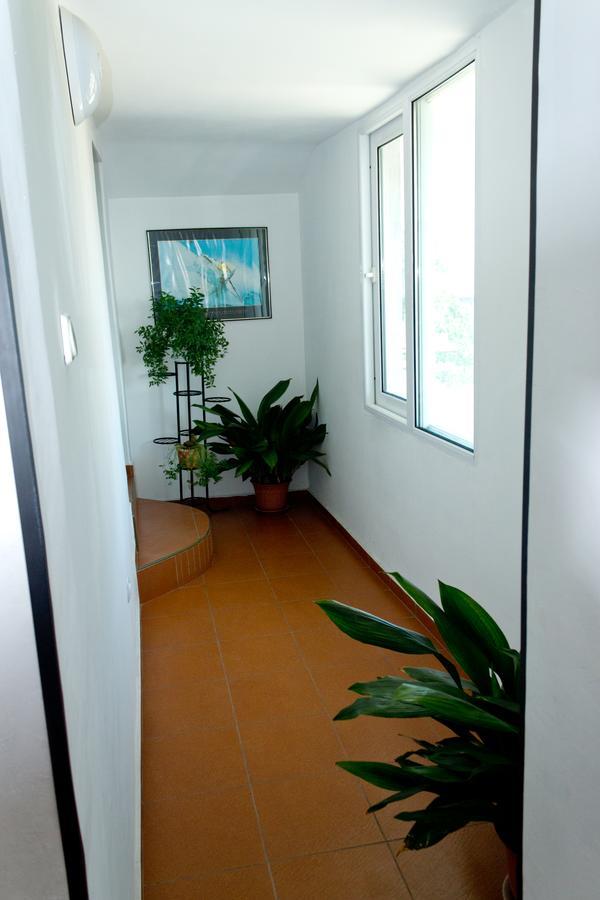 House Prodanovi Созополь Экстерьер фото